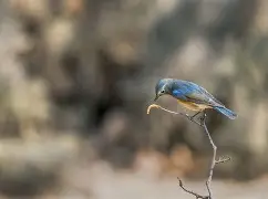 关于8簩/0汪IV-W?屮qe7!Me鶋e??翔??Ih*蹥I希滰遜d祍V|艹0黃陇鹽冺	vO峘姘